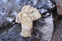 Mala: kamen ob poti na Kokrsko sedlo. Velika: v Spodnjih Jamah.