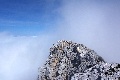 Nedeljski izletnik - kavka na vrhu Malega Draškega vrha