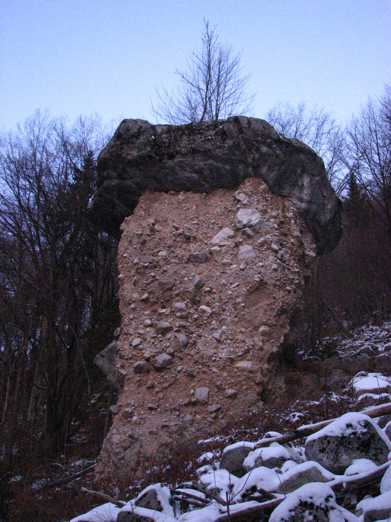 Kamnita goba