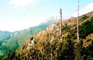 Viharniki na poti prečenja, travnat greben vodi na sedlo Čez Suho, zadaj Zabiški Kuk (1844 m), levo gozdnat greben, na katerem pride mulatjera do ceste k planini Razor Foto: Jože Praprotnik