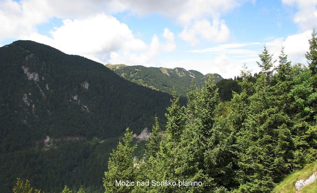 Gora z naravnim počivališčem dovoljuje prekrasne razglede na sončne terase prostranega Ratitovca in na Sorico z okolico ... pogled na Drauh in vrhove nad Soriško planino ...