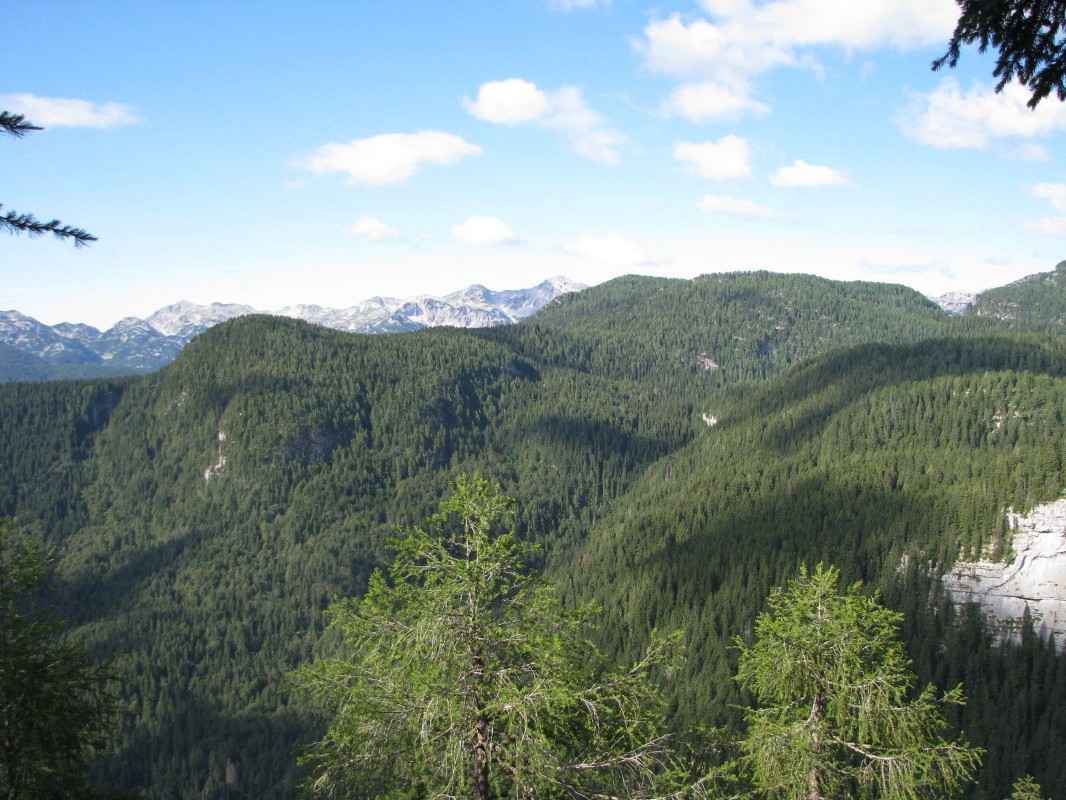 Proti Vodičnemu vrhu (1621 m) in Pršivcu (1761 m) nad bohinjskim jezerom (525 m)