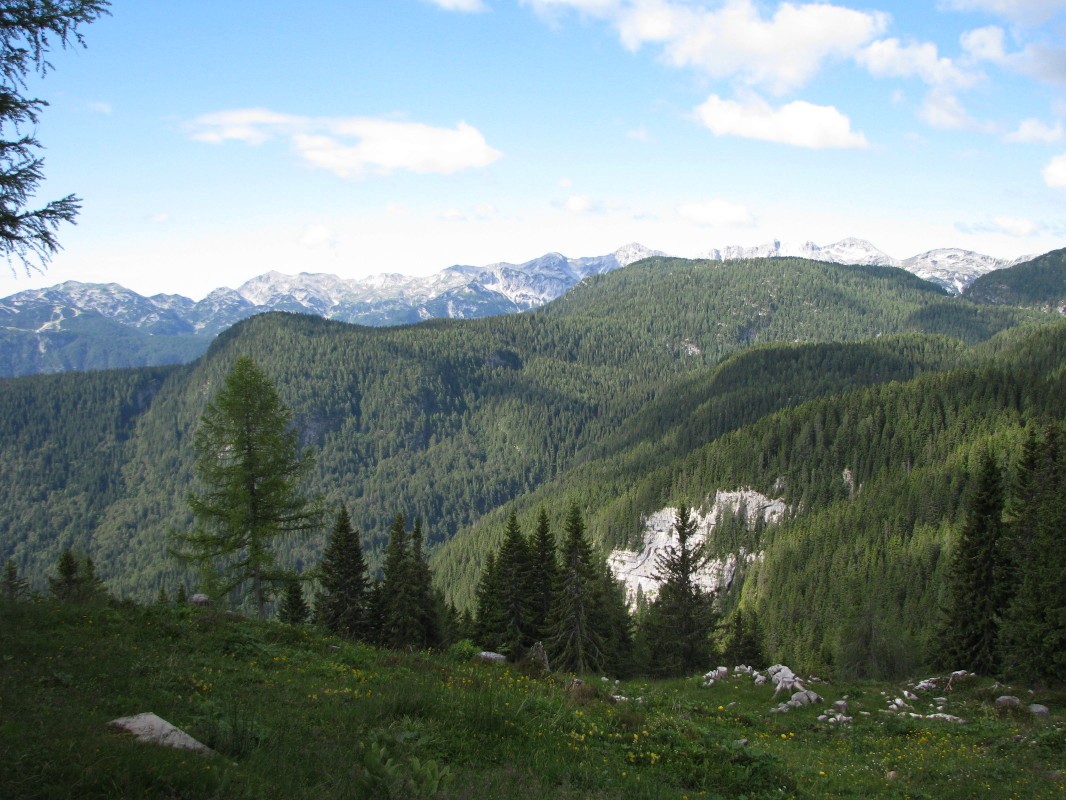 Gozdne stezice ob poraščenem vrhu Tisovec, zaznamujejo in vodijo mimo gozdnega vršiča Na vrhu, vzhodno ob planini Krstenica in ob strugi potoka Snedčica na Ravno brdo (Pri češnji) in južno v Dolino Voje