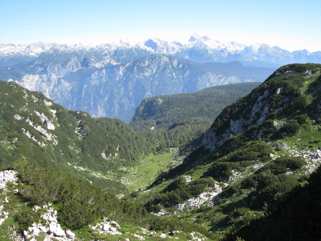 Poljana (1406 m) pred planino Zadnji Vogel (1413 m) - pogled vzhodno pred prelazom Globoko (1800 m)