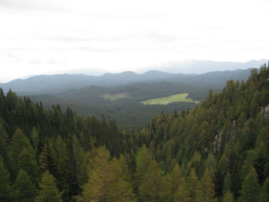 Planina Javornik (1292 m) na Pokljuki