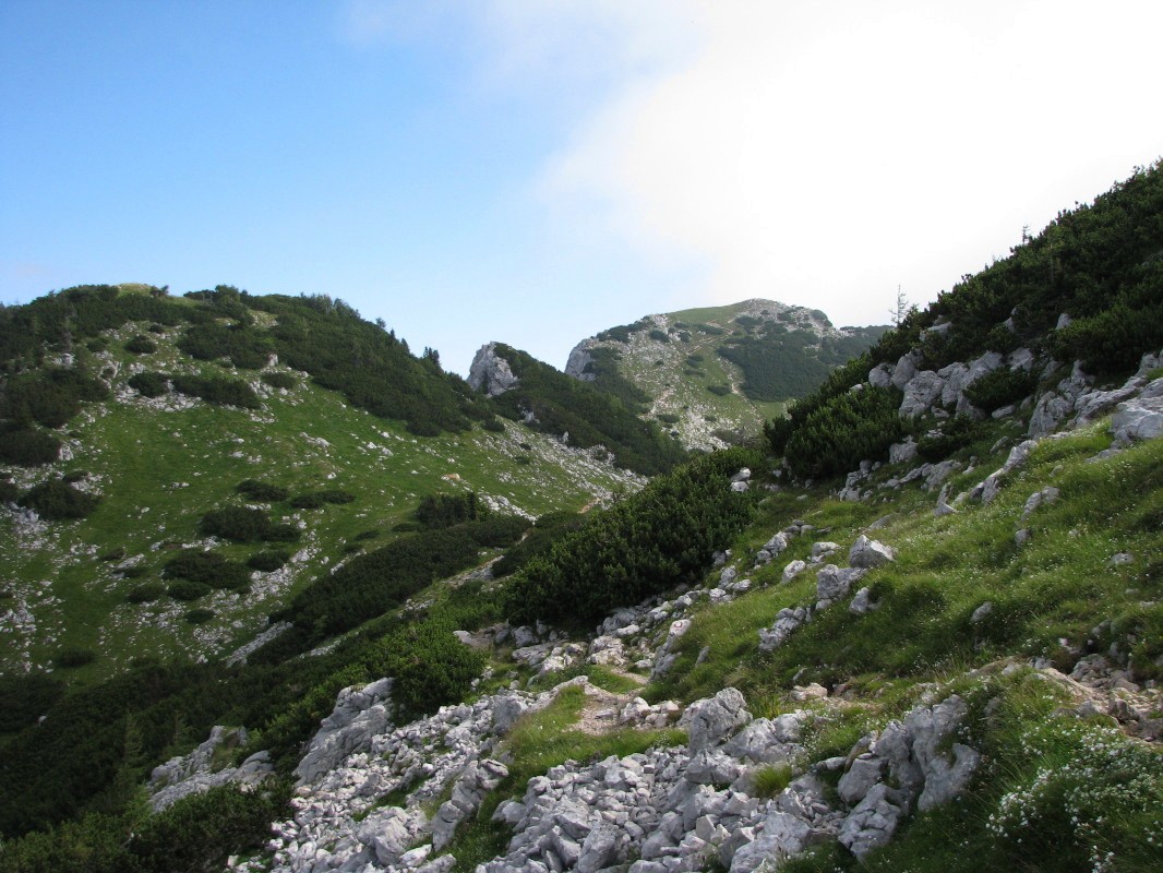 Pogled proti vrhu Debele peči (2014 m)