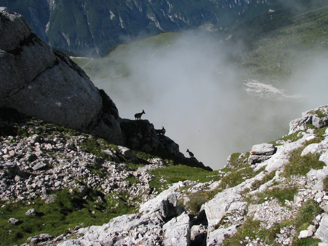 Montaž in vzhodna veriga gora z dvanajstimi vrhovi sodi med najbolj mogočne gore v Julijskih Alpah. Špik Hude police je najlažje dostopni vrh v verigi gora, bolj spoštovana sosednja vrhova sta neplezalcem komaj dostopna