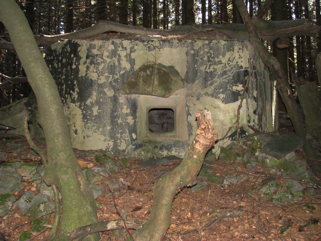 Ostanki vojaškega bunkerja na zahodnem in poraščenem pobočju gozdnega vrha Žbont (1295 m)