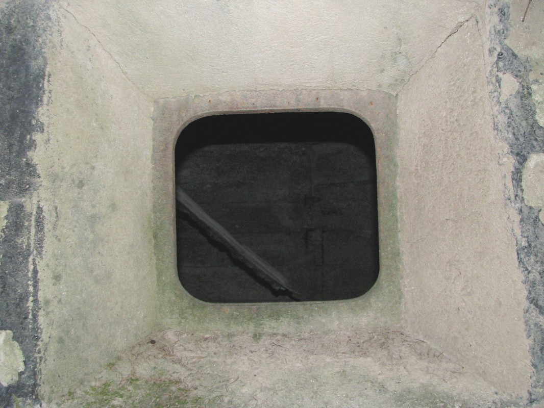 Strelna lina vojaškega bunkerja na zahodnem in poraščenem pobočju gozdnega vrha Žbont (1295 m)