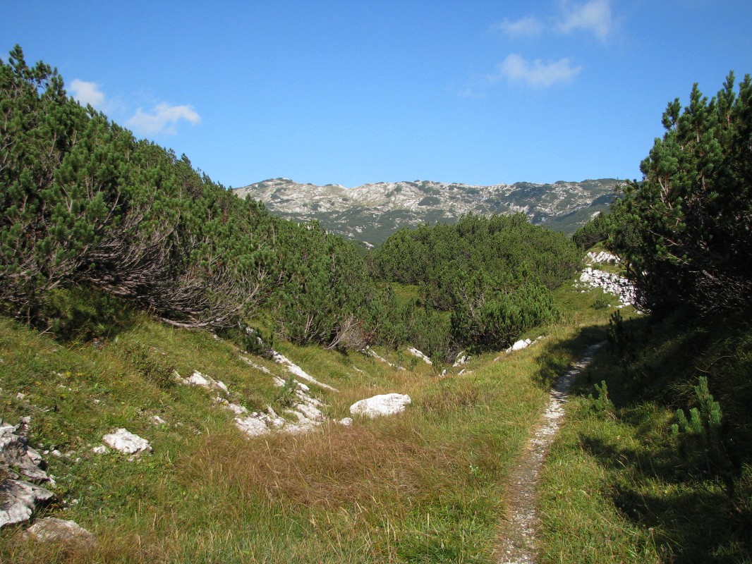 Vzhodno pod Lanževico (2003 m) na Lepi Komni