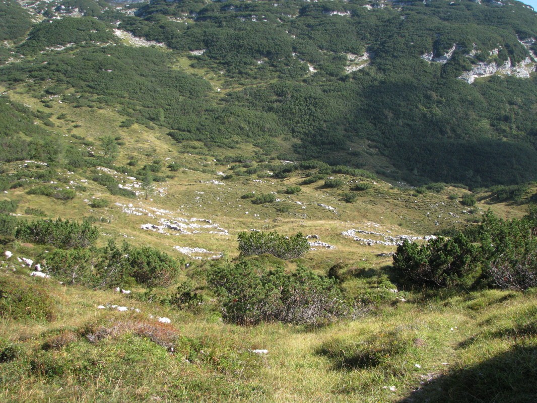 Vzhodno pod Lanževico (2003 m) na Lepi Komni (opuščena planina Poljanica, 1640 m)