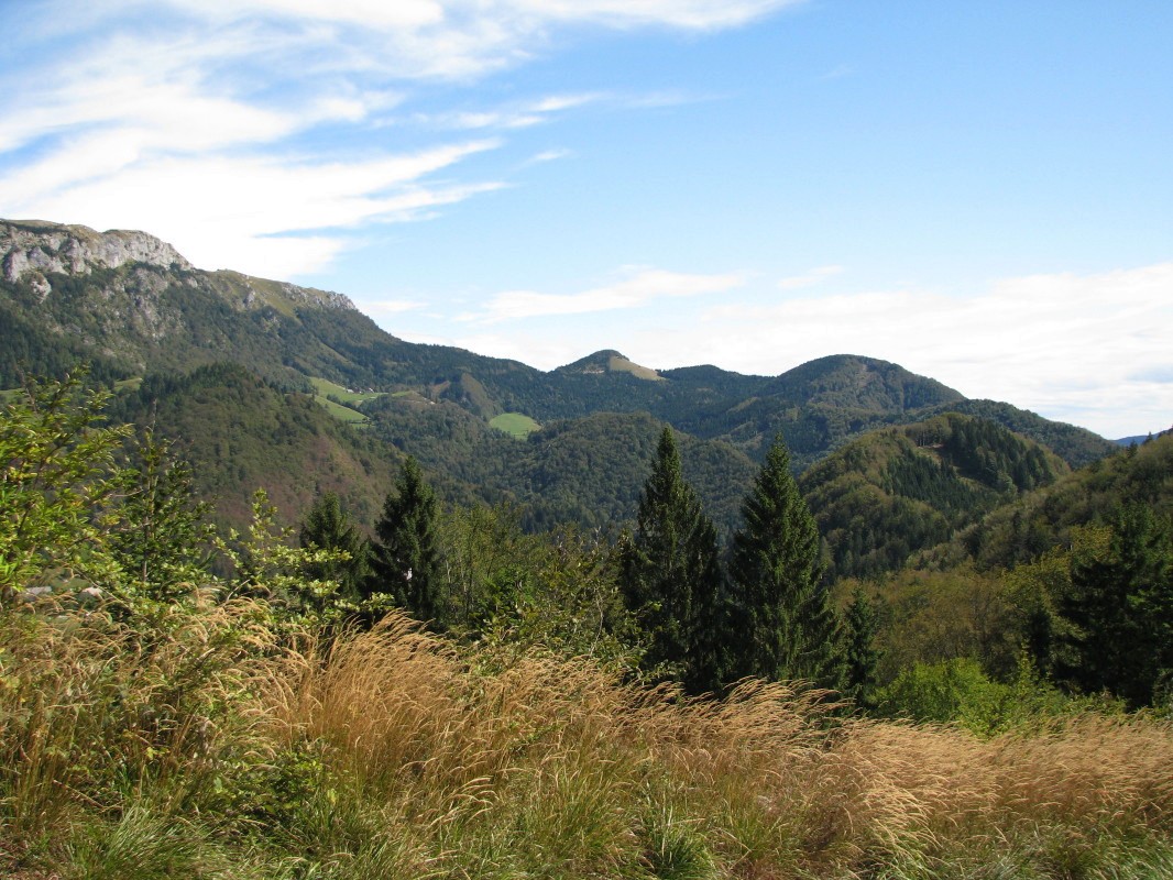 Pogled z grebena Golcek (993 m) na pogorje Ratitovca (Koča na Ratitovcu, 1642 m), Grebel vrh (1348 m), Žbont (1295 m), Bintek (1257 m), Lajtnik (1053 m), Štomant (1037 m) in Gožel (978 m)