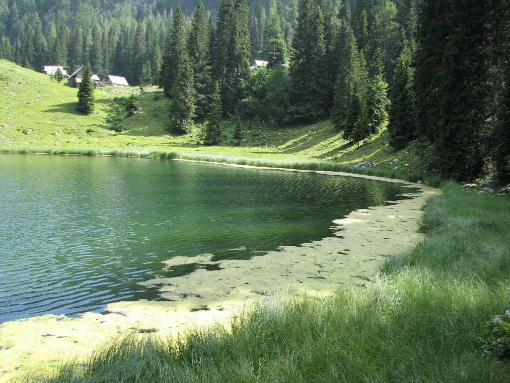 Planina Pri Jezeru (1450 m), jezerska gladina v teh vročinskih dnevih)