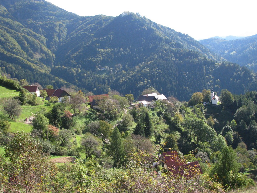 Vasica Bača pri Podbrdu (770 m), nad vasico Kup (1046 m)