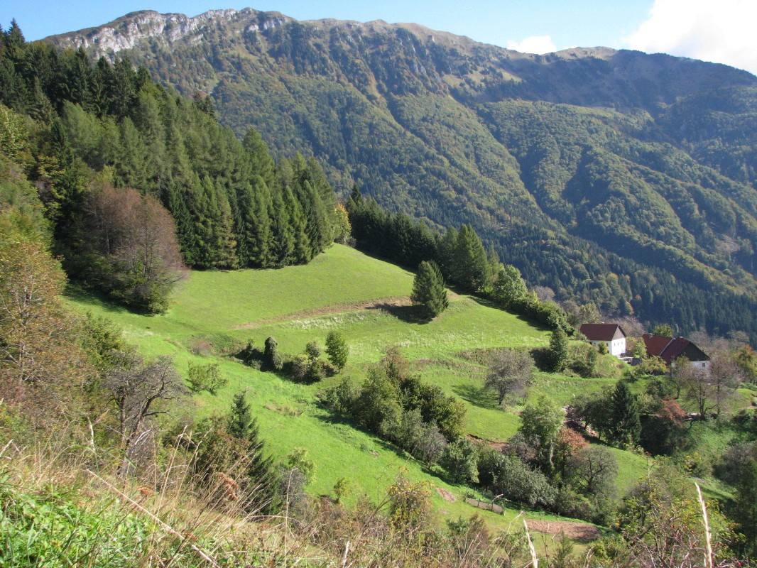 Vasica Bača pri Podbrdu (770 m), v ozadju greben nad Soriško planino, Slatnik (1609 m) in Lajnar (1549 m)