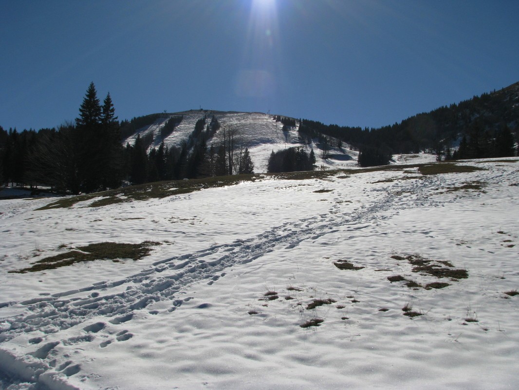Soriška planina (1307 m) proti Lajnarju (1549 m)