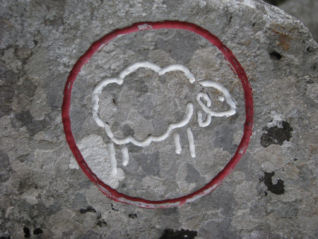 Živahno ovco Plisko, ki simbolizira pastirsko preteklost vasi, so izbrali za znak poti