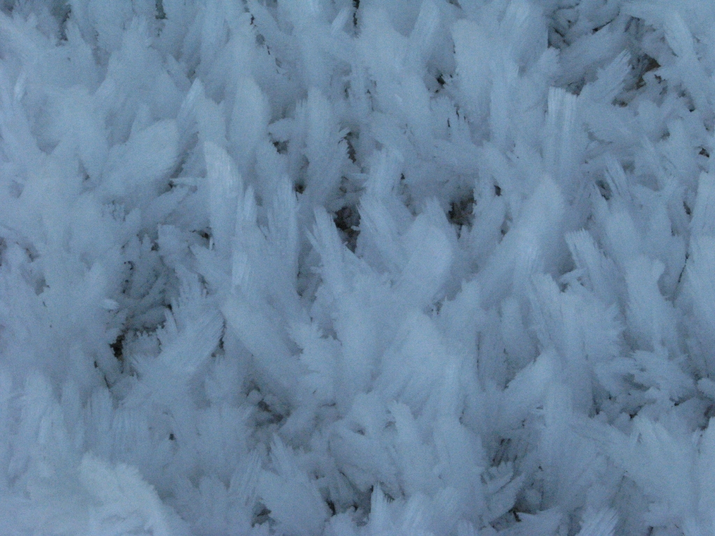 V hladnih februarskih dnevih v okolici nenavadno velike mlake (792 m) ali vokle pod vzhodnim vrhom
