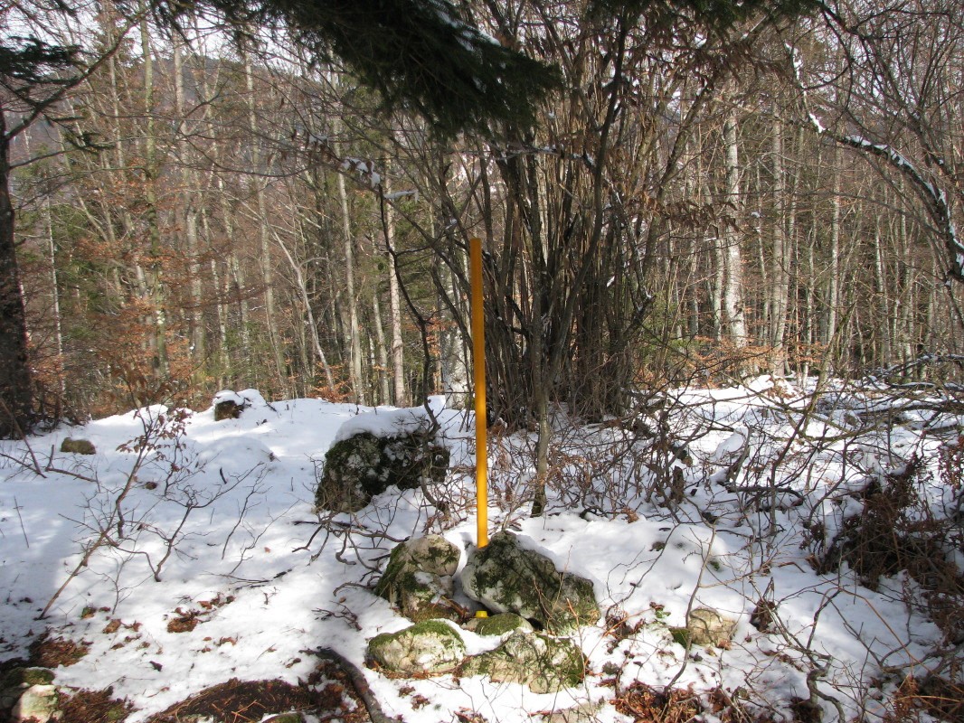 Plastična cev, ki označuje vrh Šavnice (863 m)
