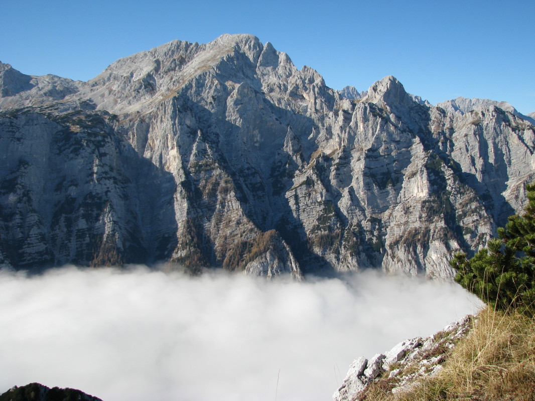 Zadnji vrh in obenem najbolj vzhodni dvatisočak Julijskih Alp pada v Krmo z odsekano steno, katere zgornji del je viden iz nižine. Položna, južna in vzhodna pobočja prekriva pokljuški gozd do venca gora nad planino Lipanca