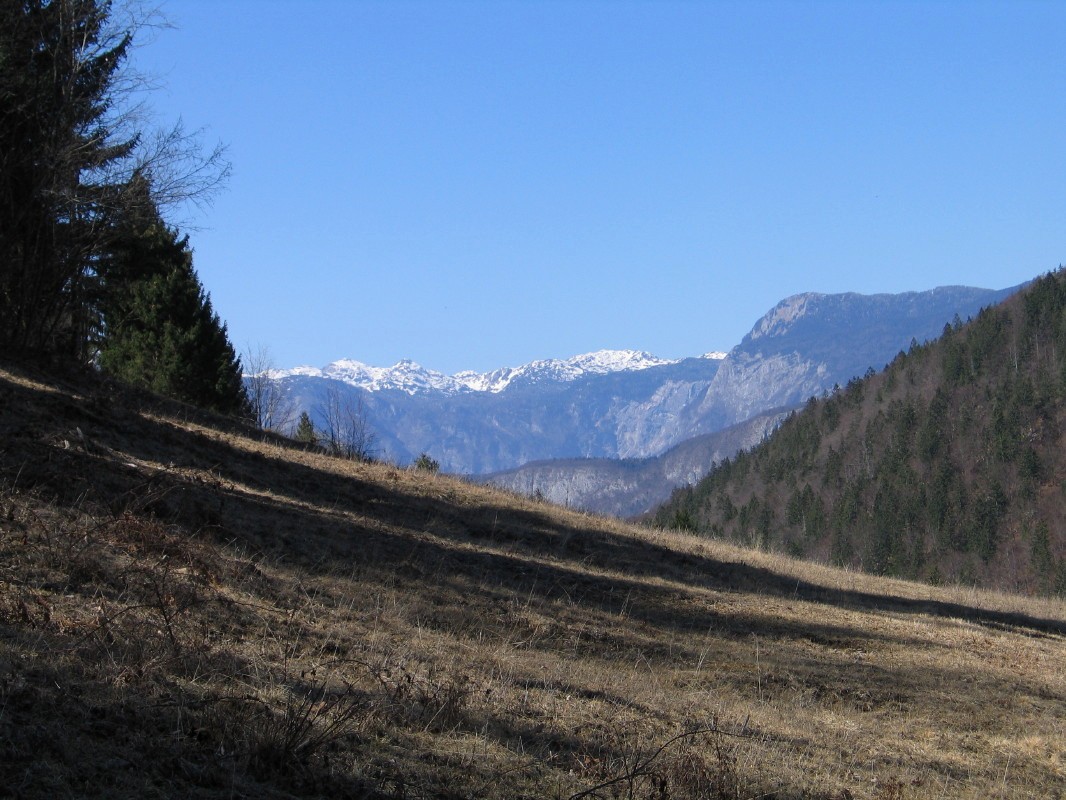 Severno pod predelom Strme (942 m) s pogledom v smeri vasi Nemški Rovt 674 m) in južno bohinjskih gora v ozadju