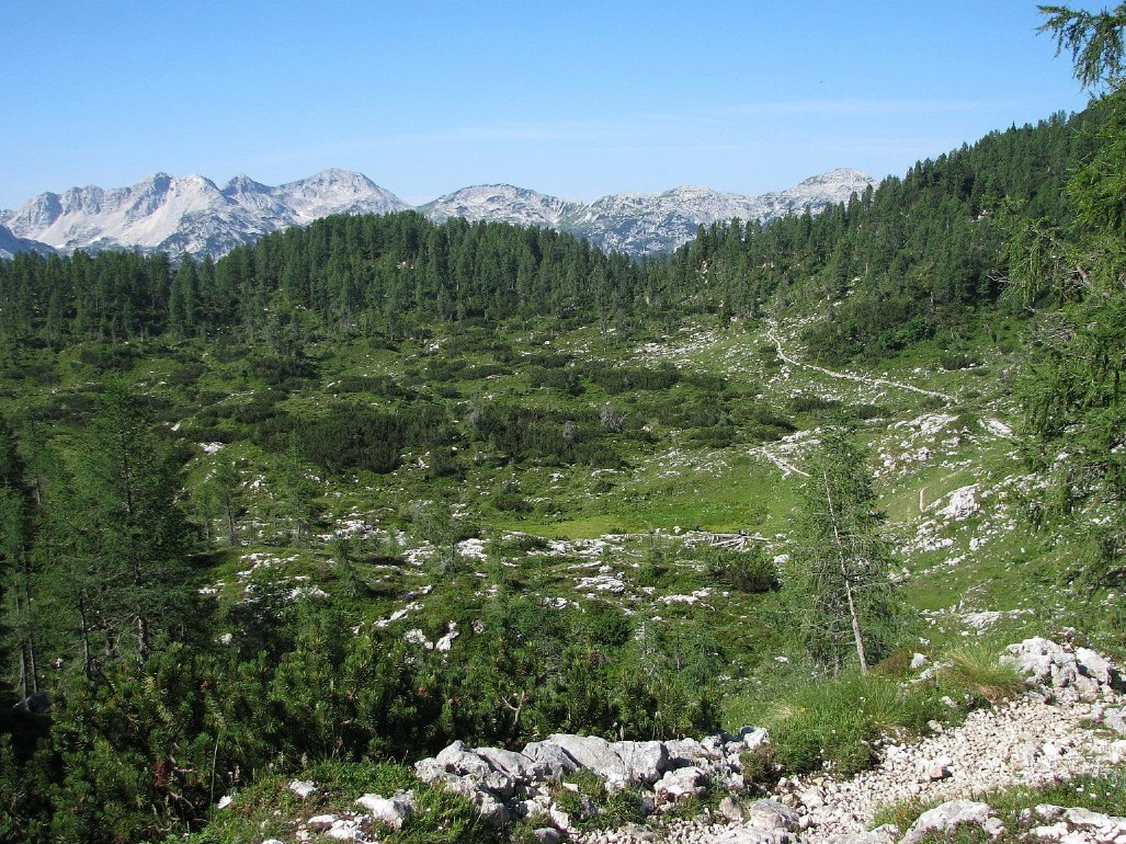 Severno nad prostrano planino Ovčarija (1660 m)