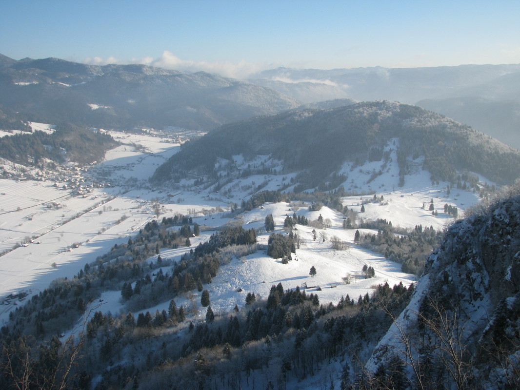 Pogled na gozdni vrh Šavnica (863 m) z Rudnice (964 m)
