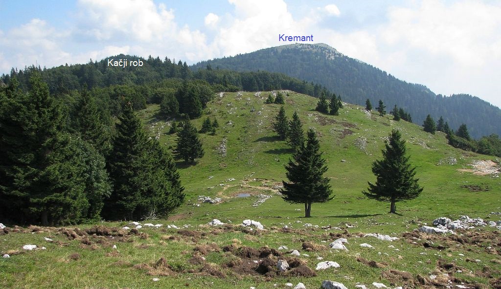 Gozdni in razgledni vrh vzhodno ob obsežni Danjarski planini s prostranimi gorskimi pašniki, ki razgledno izstopajo južno na Jelovici ... Danjarska planina, 1420 m ...