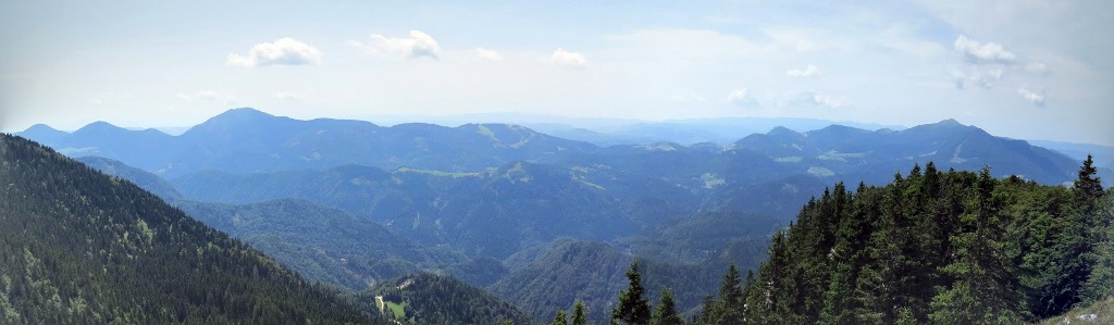 Gozdni in razgledni vrh vzhodno ob obsežni Danjarski planini s prostranimi gorskimi pašniki, ki razgledno izstopajo južno na Jelovici ... pogled  s Kačjega robu ...