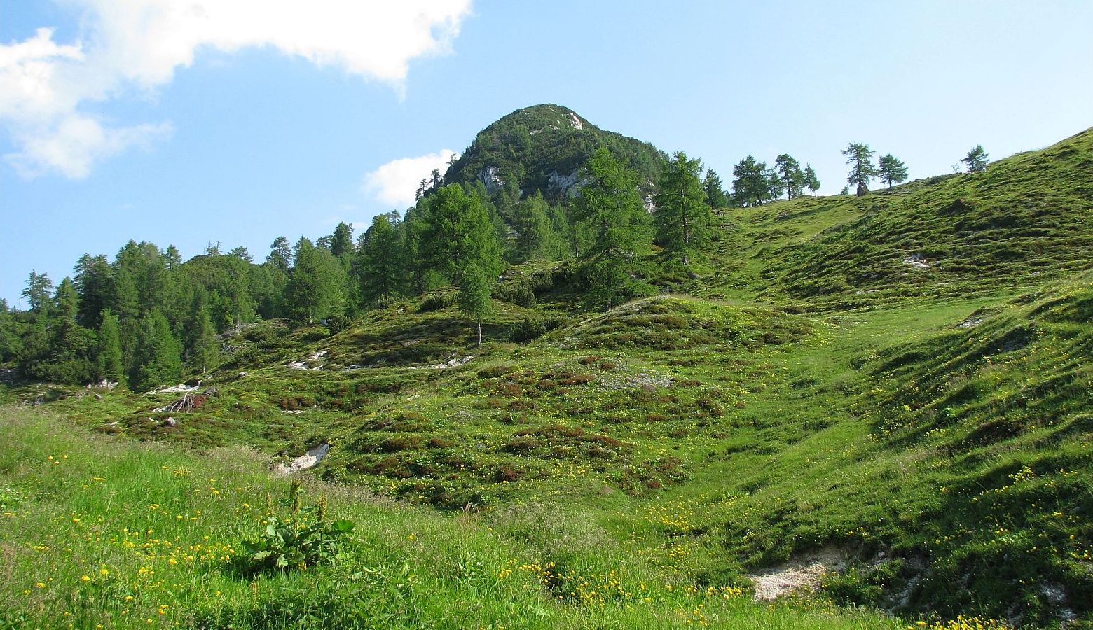 Steza se vije zložno in zahodno po kateri dobro uro kasneje mimo obnovljene lovske koče, kjer se gozdna steza obrne vzhodno in v kratkem pripelje na spodnje travnike planine Krstenica ...