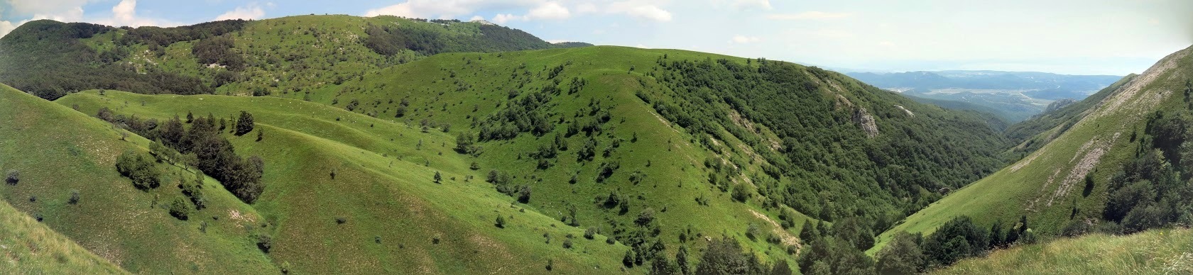 Zahodno se povzpnemo še na razgledni vrh Vidalj (1184 m) z izjemnim razgledom južno na sotesko Mudna dol