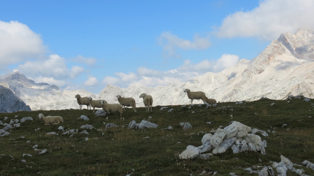 Tosc (2275 m) je najvišji vrh v grebenu, ki poteka vzdolž doline Krma na jugovzhodu, ki v zatrep le te pada s strmo in krušljivo steno, južno pobočje gore je položnejše, vendar tudi ne brez skalovja in melišč nad Dolino Voje ...