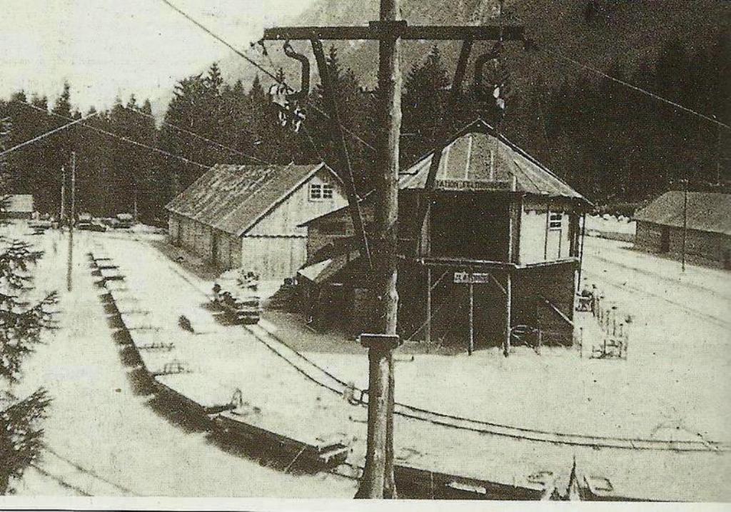 Do začetka poletja v letu 1917 so vagončke, kamor so lahko naložili do 2, 5 tone tovora vlekli konji, nato so železnico elektrificirali. Zgradili so novo električno centralo pri Savici ...