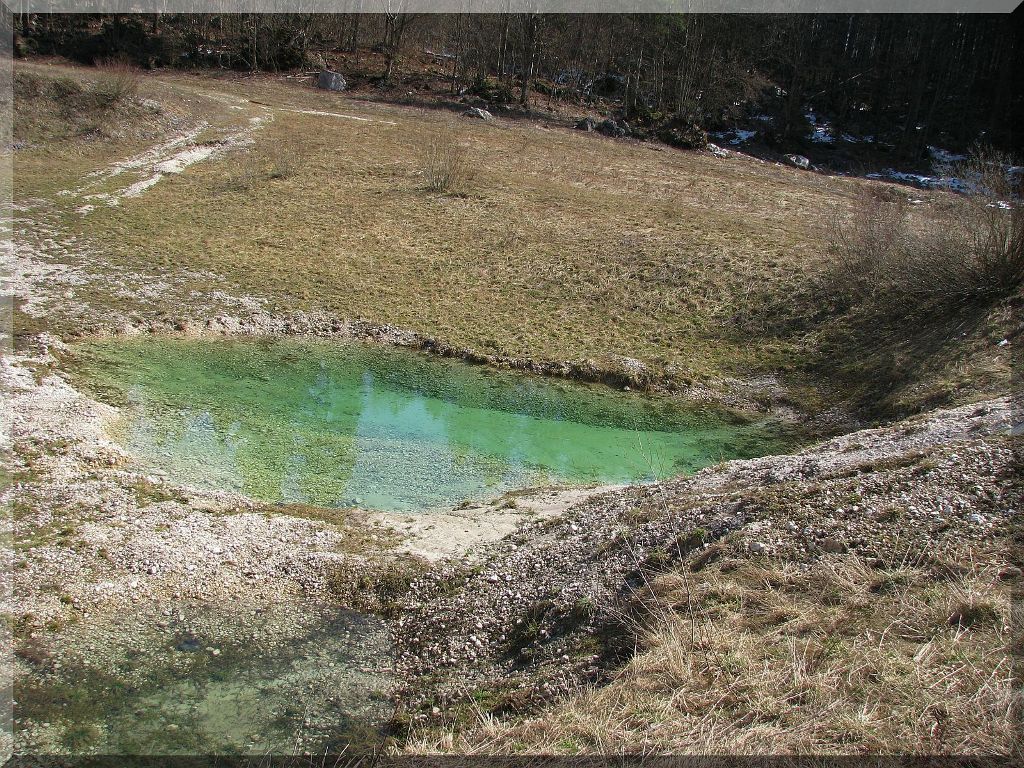 Predel v Ukancu med Bohinjskim jezerom in slap Savico, kjer na močvirju s travnikom ob obilnem deževju nastane večje jezero ...