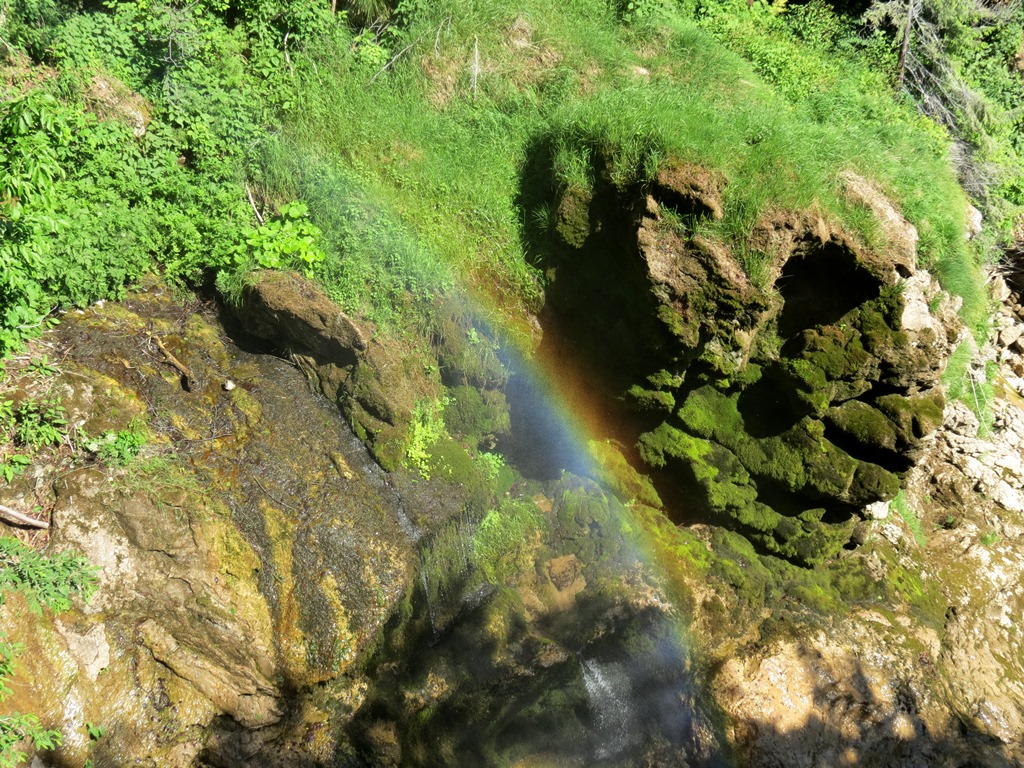 Številne brzice, slapovi, tolmuni, brzice in druge izbrušene oblike delovanja vode tvorijo zanimive oblike sten do slapu Vintgarski šum, ki pada v 13 metrov globoko strugo