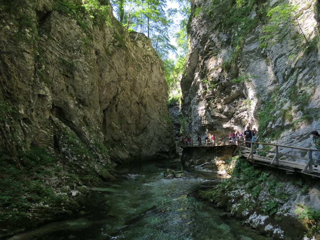 Številne brzice, slapovi, tolmuni, brzice in druge izbrušene oblike delovanja vode tvorijo zanimive oblike sten do slapu Vintgarski šum, ki pada v 13 metrov globoko strugo